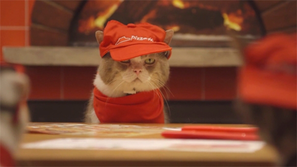 Cats, Pizza Hut, Pizza Hut Japan, Cats, Video, Pizza Cats, commercial, employees